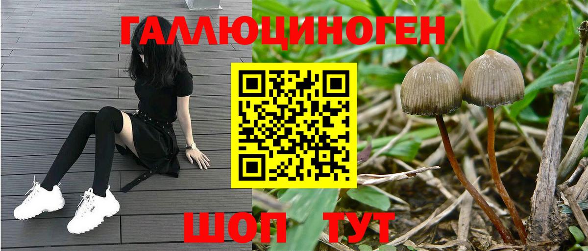 Псилоцибиновые грибы мицелий Первоуральск