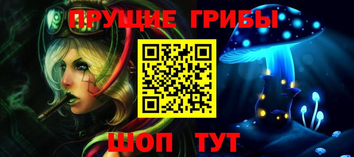 Галлюциногенные грибы GOLDEN TEACHER  продажа наркотиков  Первоуральск  Псилоцибиновые грибы GOLDEN TEACHER  Вход с VPN 